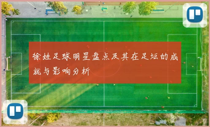 徐姓足球明星盘点及其在足坛的成就与影响分析