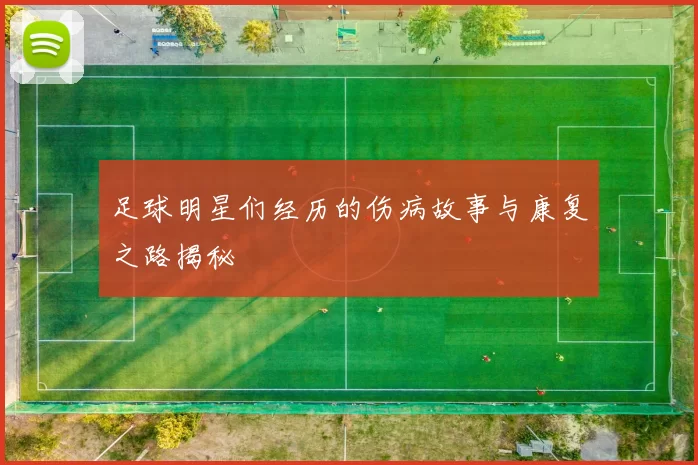 足球明星们经历的伤病故事与康复之路揭秘