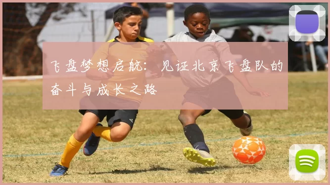 飞盘梦想启航：见证北京飞盘队的奋斗与成长之路