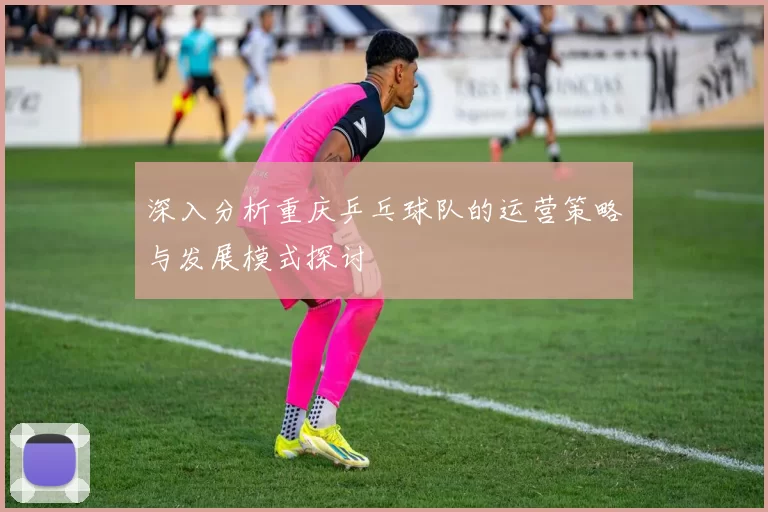 深入分析重庆乒乓球队的运营策略与发展模式探讨