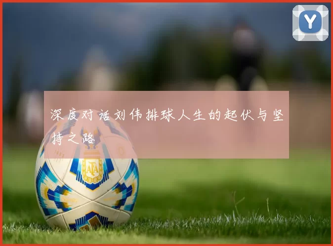 深度对话刘伟排球人生的起伏与坚持之路