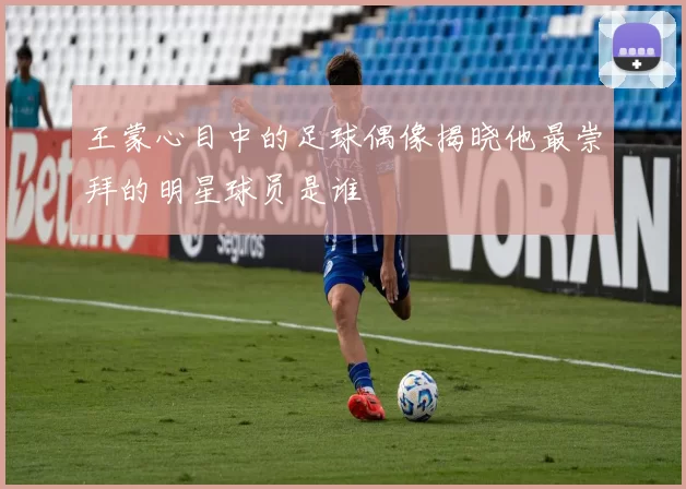 王蒙心目中的足球偶像揭晓他最崇拜的明星球员是谁