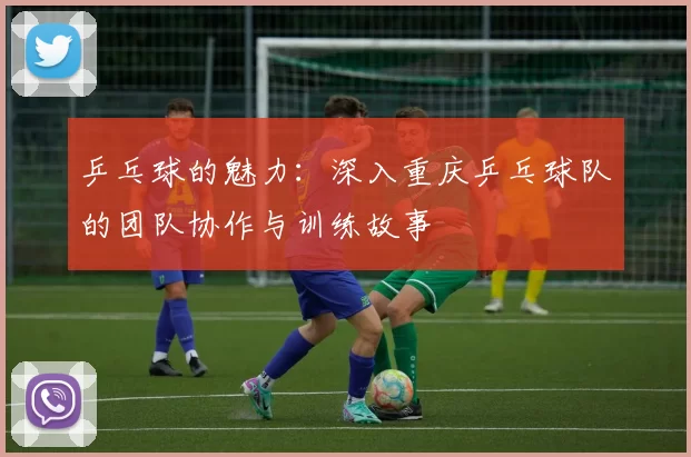 乒乓球的魅力：深入重庆乒乓球队的团队协作与训练故事