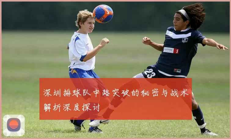 深圳排球队中路突破的秘密与战术解析深度探讨