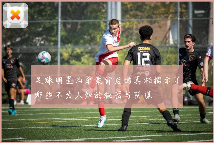 足球明星凶杀案背后的真相揭示了哪些不为人知的秘密与阴谋