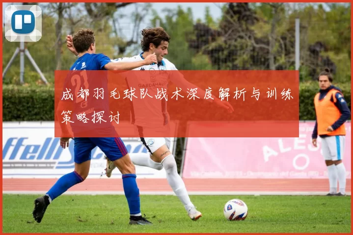 成都羽毛球队战术深度解析与训练策略探讨