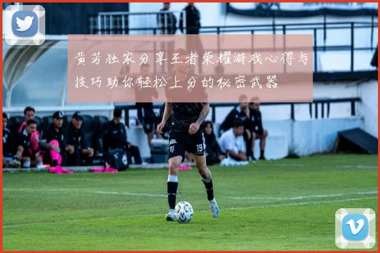 黄芳独家分享王者荣耀游戏心得与技巧助你轻松上分的秘密武器