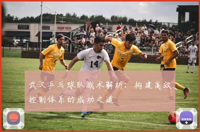 武汉乒乓球队战术解析：构建高效控制体系的成功之道