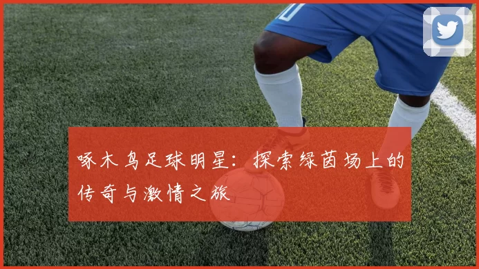 啄木鸟足球明星：探索绿茵场上的传奇与激情之旅