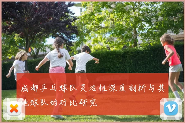 成都乒乓球队灵活性深度剖析与其他球队的对比研究
