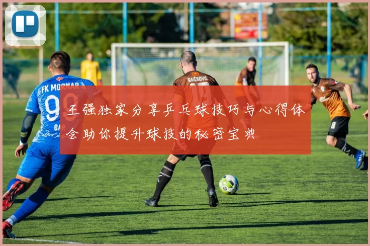 王强独家分享乒乓球技巧与心得体会助你提升球技的秘密宝典