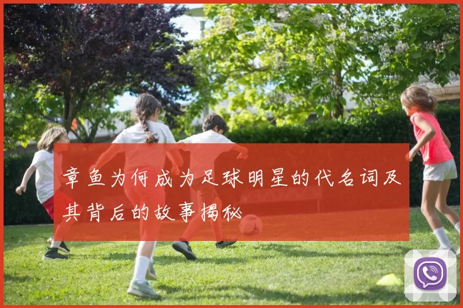 章鱼为何成为足球明星的代名词及其背后的故事揭秘