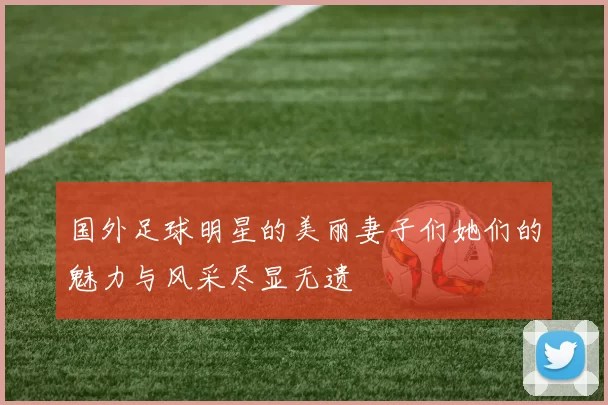 国外足球明星的美丽妻子们她们的魅力与风采尽显无遗